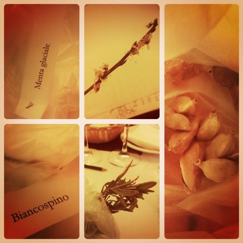 image_1365155366902172