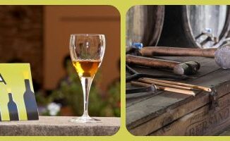 vernaccia di oristano
