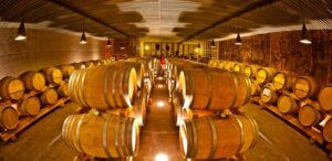 vino alto adige