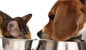 alimenti-animali-domestici