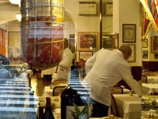 guida ai ristoranti di bologna per fuorisede