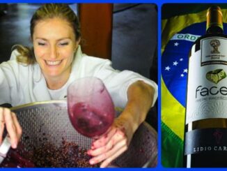 vino_mondiali_brasile 2014