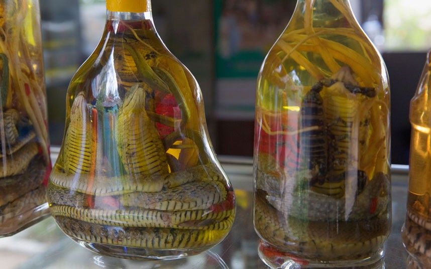 vino di serpente