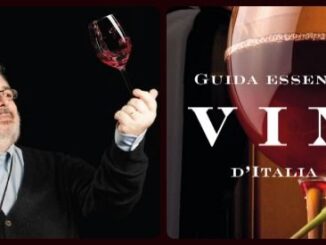 guida ai vini essenziali 2015 doctor wine