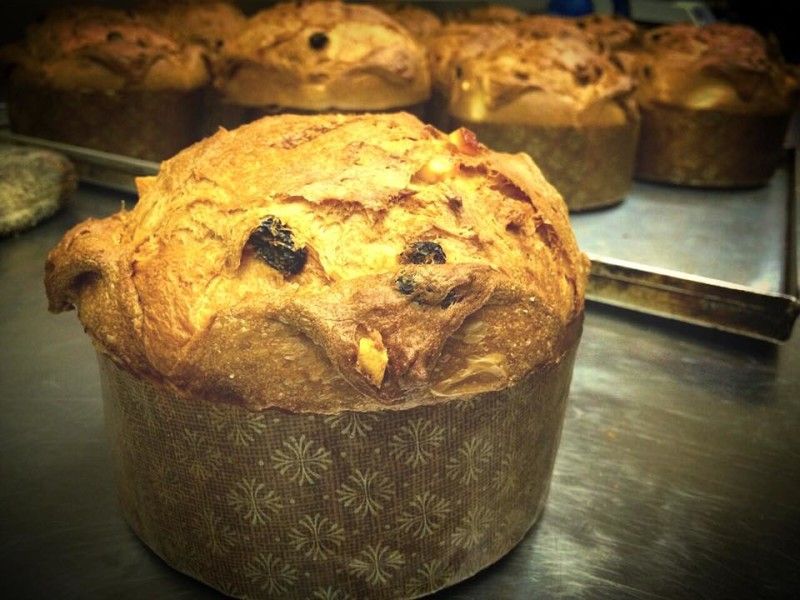 panettone boulangerie mp