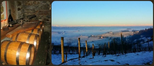 vino nizza docg