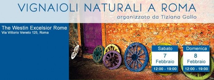 vignaioli naturali a roma 2015