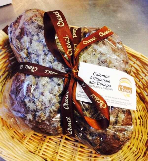 cresci colomba basta