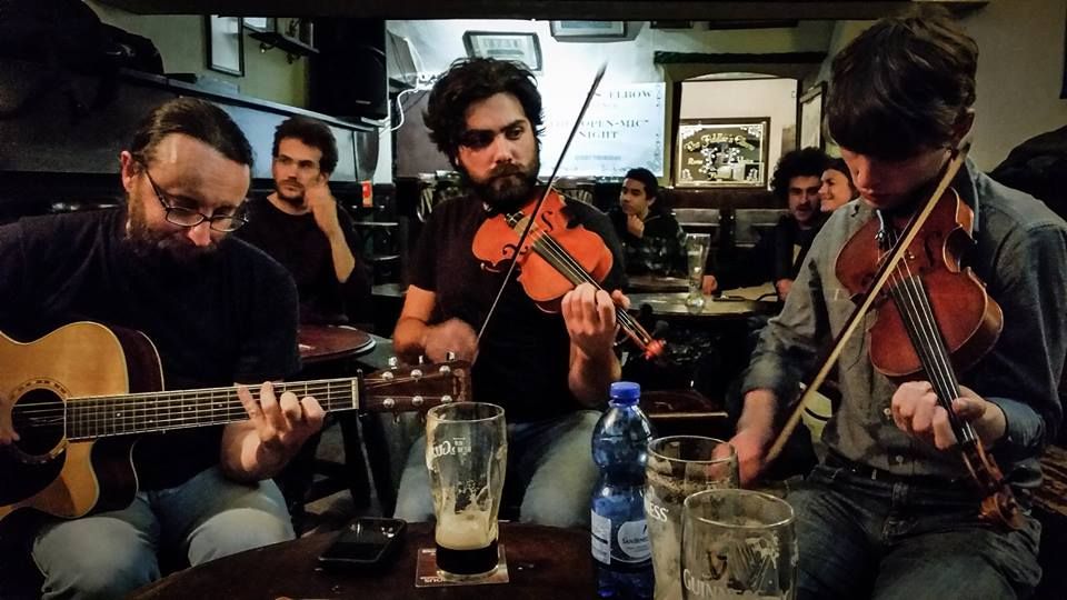 fiddlers