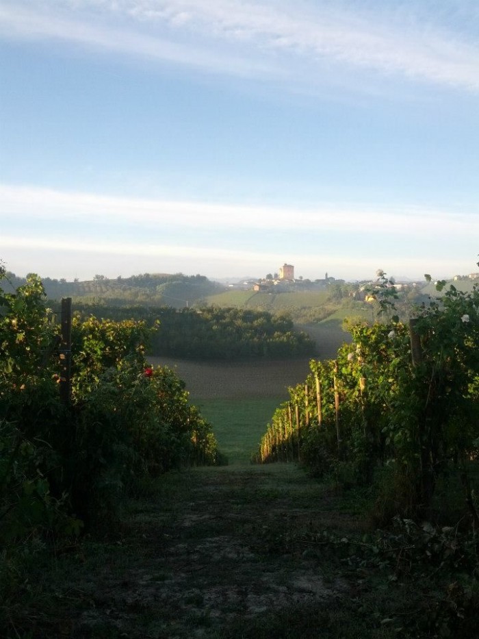 langhe
