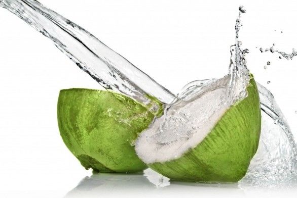 acqua di cocco moda
