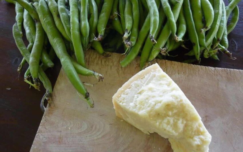 sagre lazio maggio fave e pecorino nerola