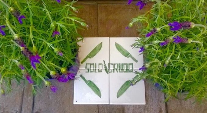 vegano-roma-crudista