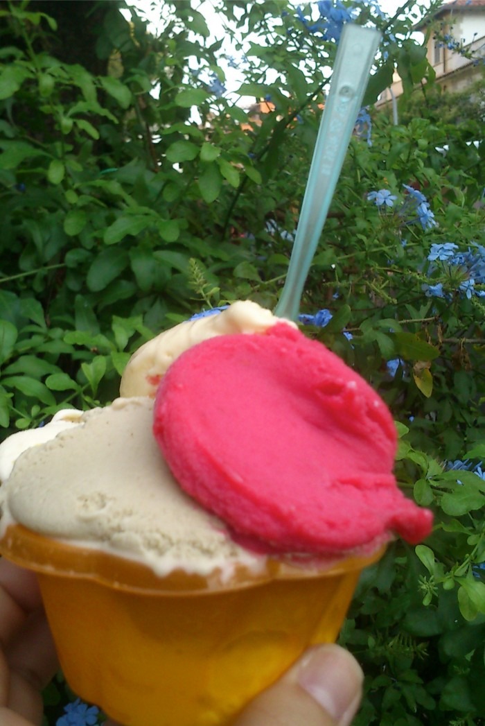 gourmandise2-700x1047