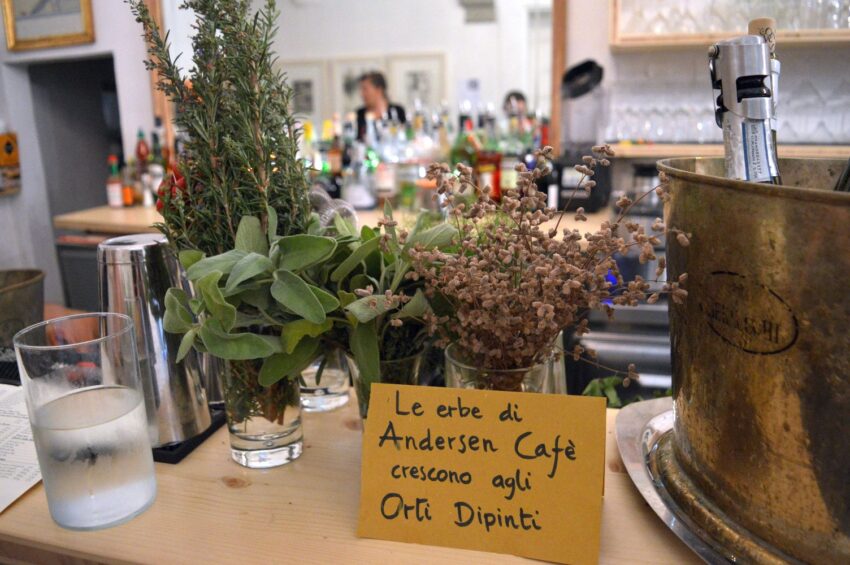 andersen8