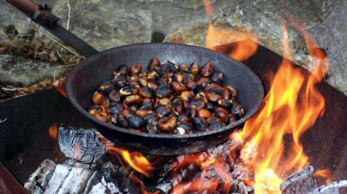 castagnata di novembre anzio