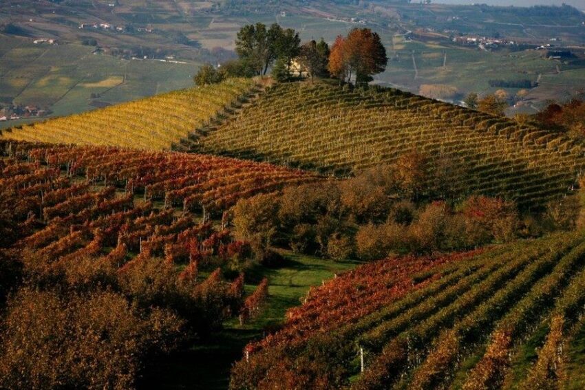 eventi roma dicembre 2015_slow food roma