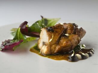 eventi roma novembre 2015