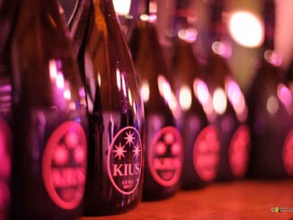 spumanti bio carpineti