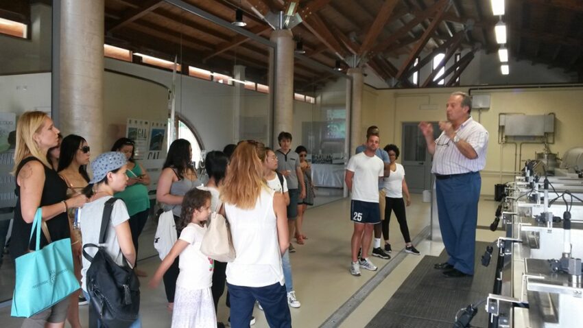 pane e frantoio vico del Lazio