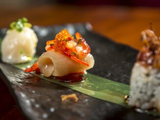 Me Geisha Roma menu