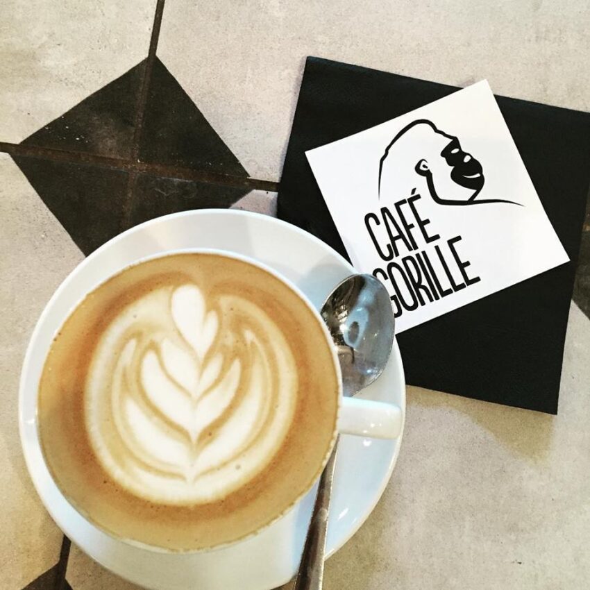 gorille colazione