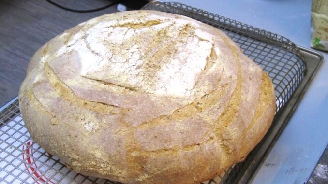 pane fatto in casa ricetta facile