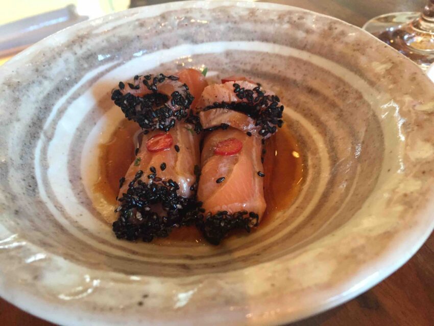 zuma roma salmone 2