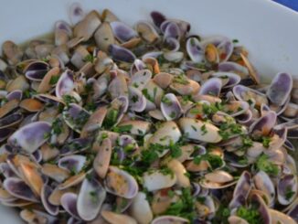 sagre lazio maggio 2016 tellina