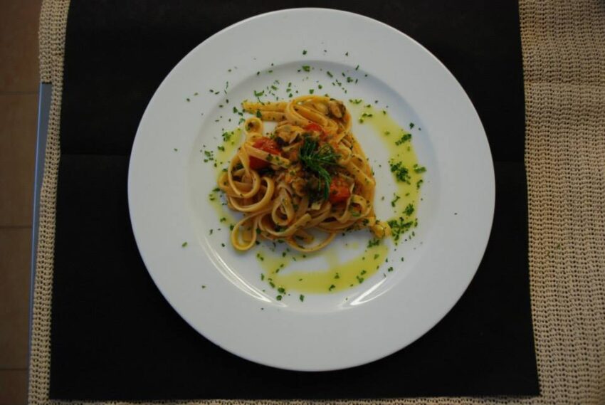 vivo-piatto