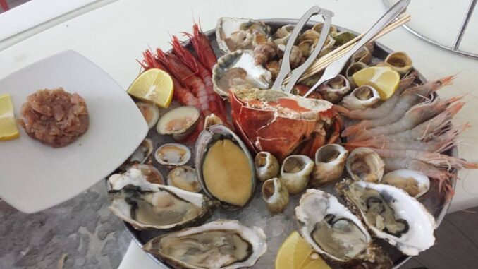 vivo ristorante firenze