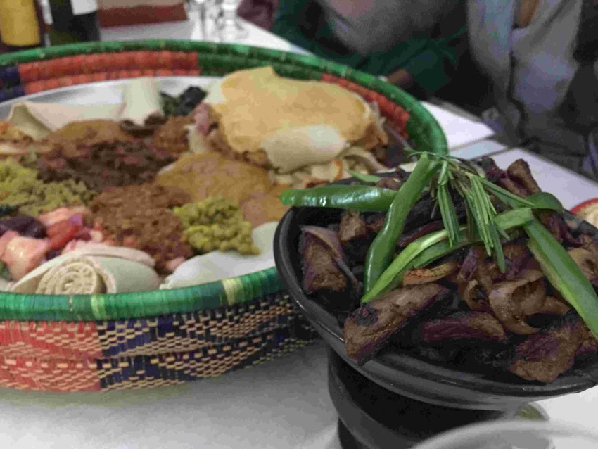 habesha bologna