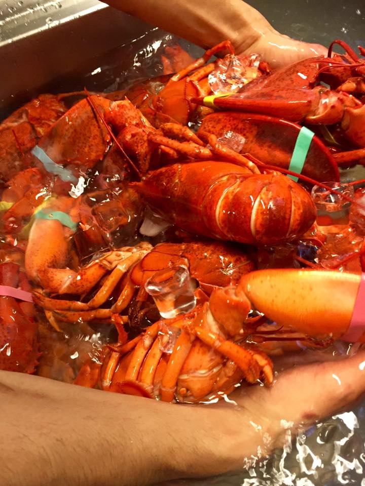 milano eventi giugno 2016