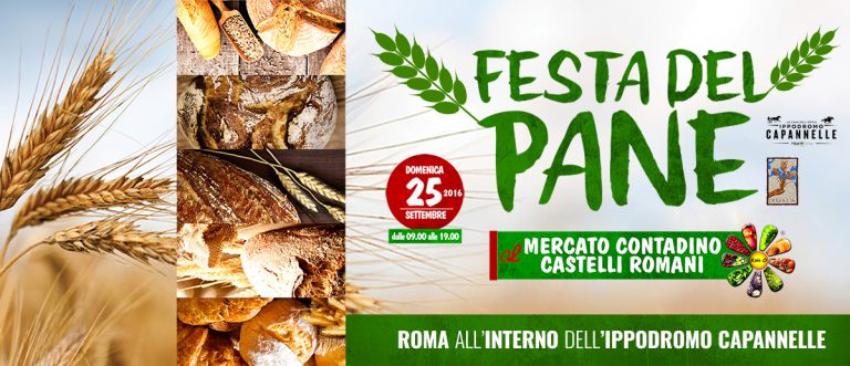 mercato_contadino_festa_del_pane-768x331