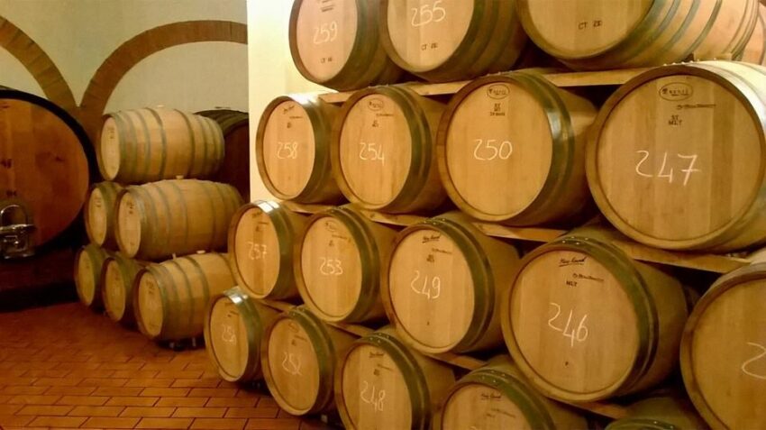 guida essenziale ai vini d'italia