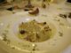 eventi roma ottobre 2016