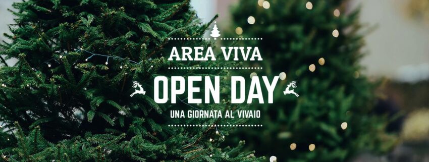 area-viva