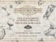 corso avvicinamento cocktail novembre 2016