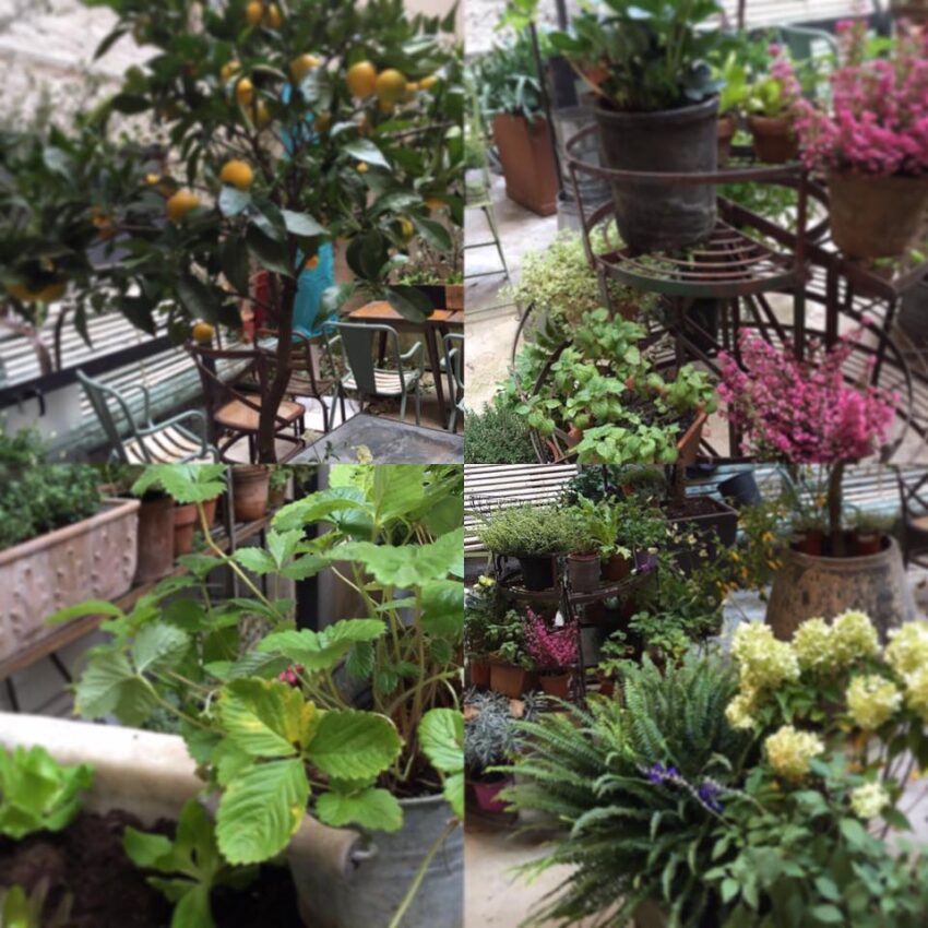 pianostrada-giardino
