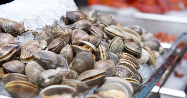 vongole