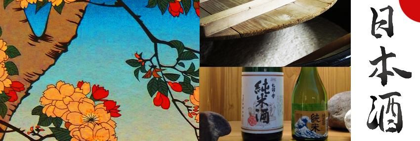 eventi roma gennaio 2017