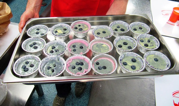 blueberry-muffin-ricetta-facile-puntarella-rossa