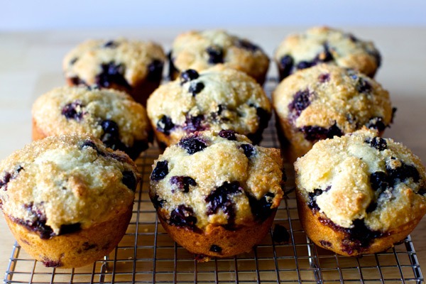 blueberry-muffin-ricetta-facile