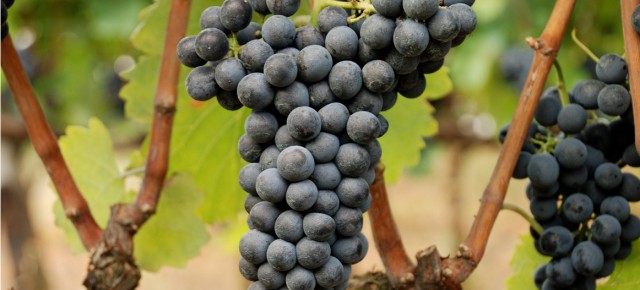 eventi roma febbraio 2017