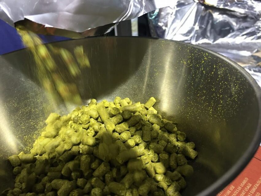 fermentazione