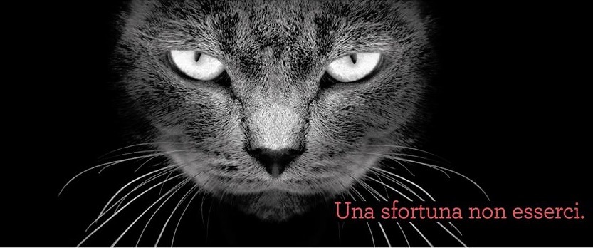 pugi venerdì 17017