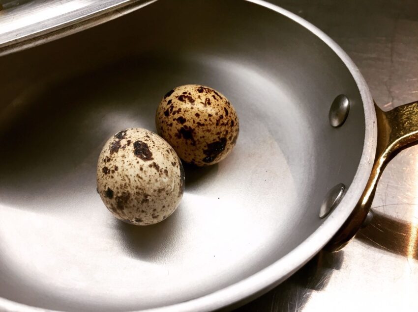 uova di quaglia