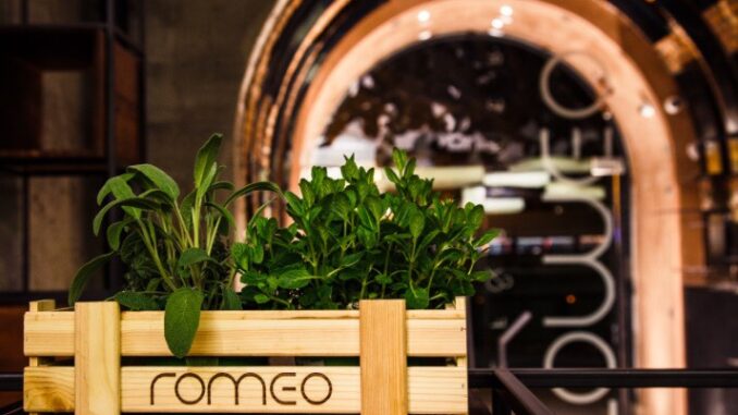 Romeo Roma