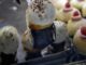 napoli-proiettilibabà-pasticceriapoppella
