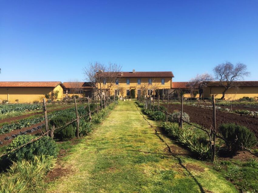 fattoria di fiorano